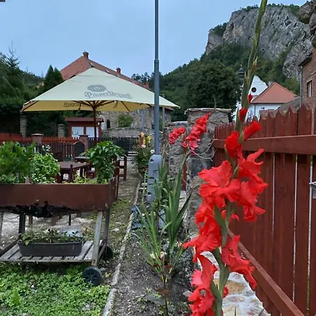 Pensionat Obecna Skola